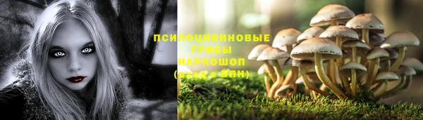 Альфа ПВП Абдулино