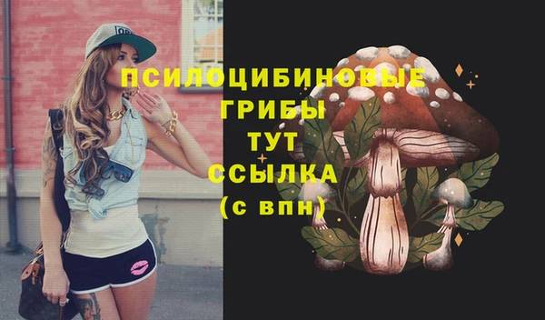 Альфа ПВП Абдулино
