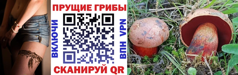 Галлюциногенные грибы GOLDEN TEACHER  KRAKEN   Таштагол  магазин  наркотиков 